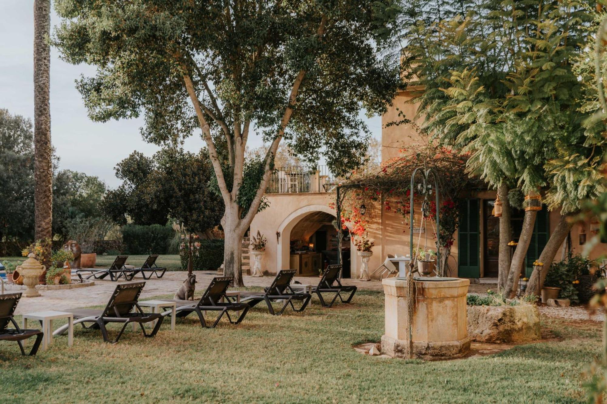 Es Llobets - Adults Only Hotell El Estanyol